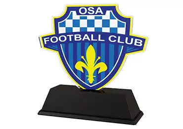 Custom Football Awards